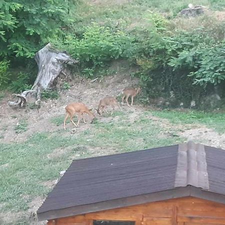 Saint-Pierre-de-Rivière Les Cimes Bed & Breakfast エクステリア 写真